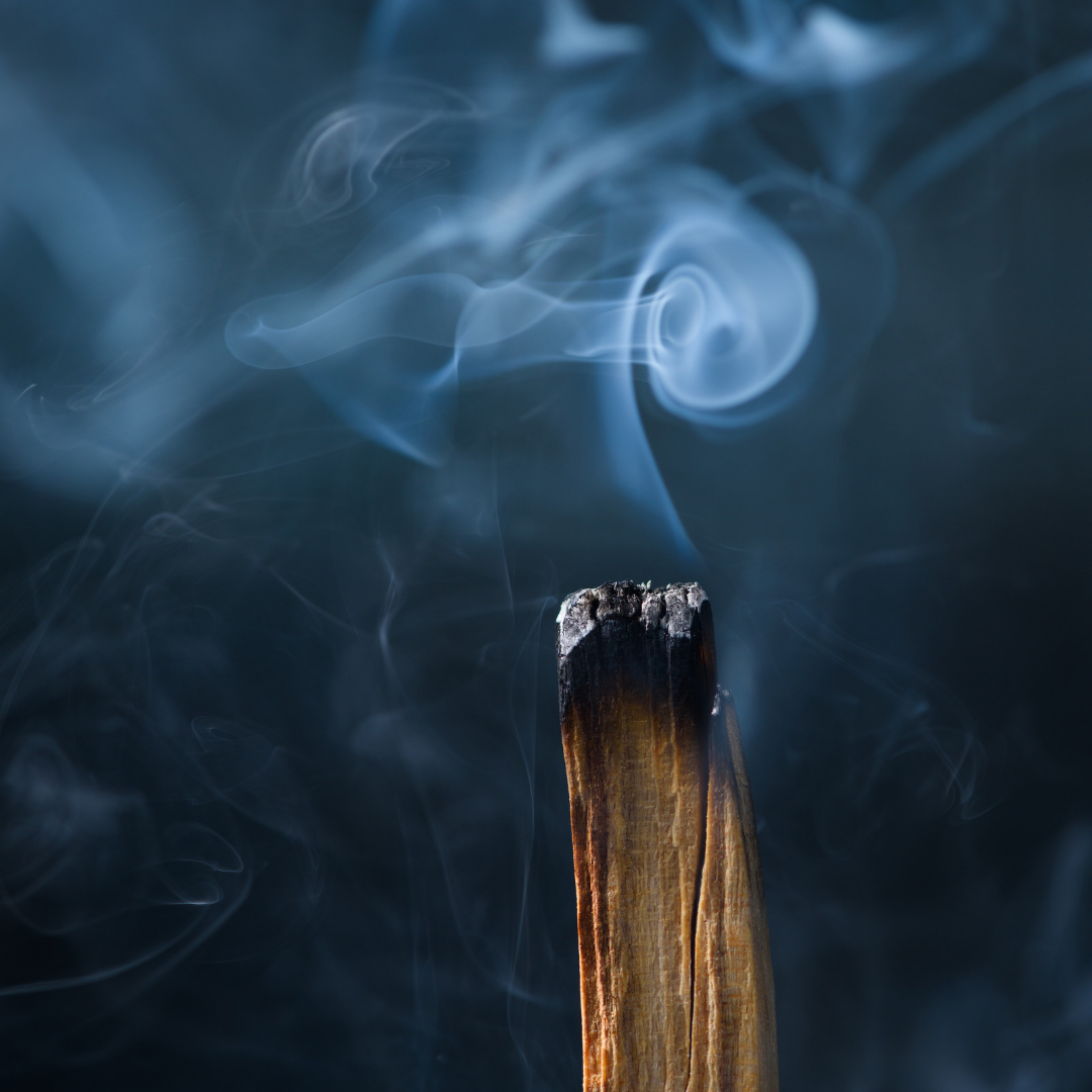 Palo Santo Sticks