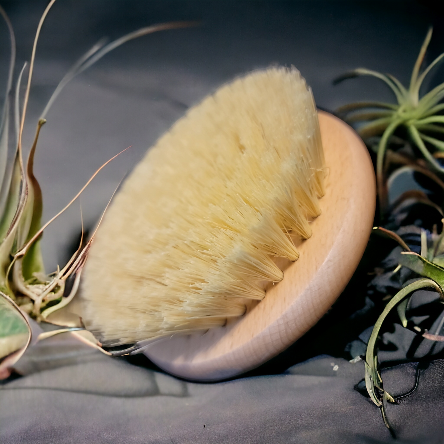 Sisal Beechwood Brush