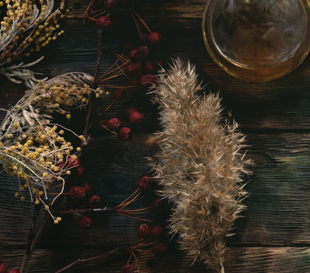 Winter Collection
